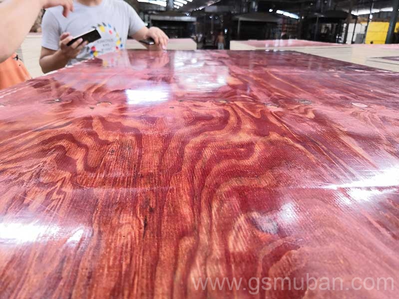 2025年建筑模板市場分析：機(jī)遇與挑戰(zhàn)并存！